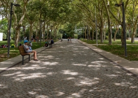 REDE DE REFÚGIOS CLIMÁTICOS NO CONCELHO DE LOULÉ