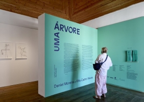 Exposição «UMA ÁRVORE» com nova visita guiada