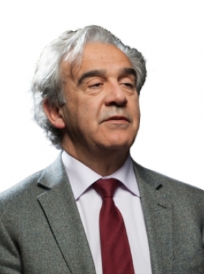 Como os Algoritmos Alimentam a Polarização Social e Política