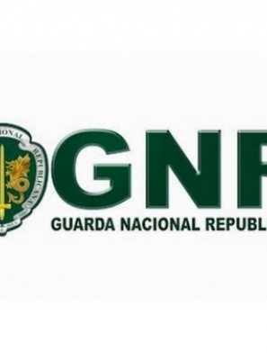 Apreendidas cerca de 1.000 camisolas desportivas contrafeitas em encomendas no Algarve