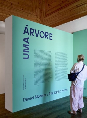 Exposição «UMA ÁRVORE» com nova visita guiada
