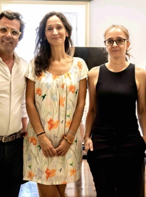 CÂMARA DE LOULÉ QUER ESTERILIZAR 500 GATOS E CONTROLAR COLÓNIAS