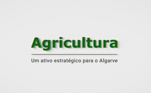 A eficiência hídrica na agricultura algarvia 