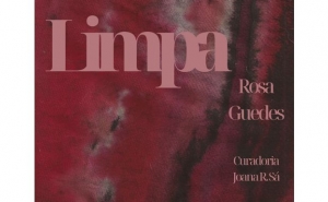 «Limpa», Exposição individual de Pintura de Rosa Guedes