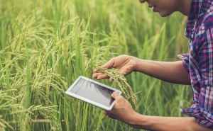 AJAP aponta desafios para a Agricultura Nacional!