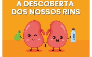 Jogo educativo sobre a doença renal chega às salas de aula neste ano letivo 