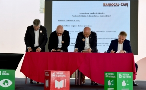 SUSTENTABILIDADE DE ECOSSISTEMAS SUBTERRÂNEOS DE LOULÉ VAI TER CÁTEDRA NA UNIVERSIDADE DE LISBOA