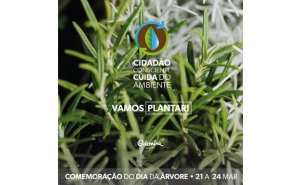 ODEMIRA ASSINALA DIA MUNDIAL DA ÁRVORE COM OFERTA DE PLANTAS À POPULAÇÃO