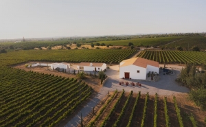 «Cabaz da Terra» promove vinhos do concelho