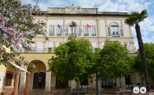 Município de Silves concluiu Inventário do Arvoredo Urbano