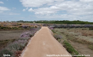 Já está a decorrer a segunda fase das obras de requalificação da Ecovia no Concelho de Tavira 