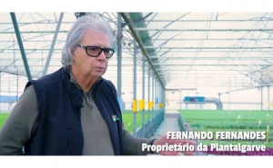 Agricultura, um Ativo Estratégico para o Algarve