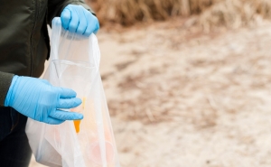 Centenas de voluntários participam durante uma semana em ações de limpeza costeira