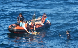 Marinha apoia devolução ao mar de tartaruga marinha