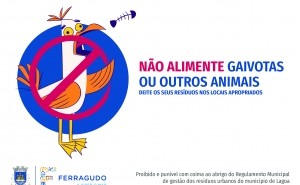 Não alimente Gaivotas e outros animais