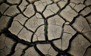 Governo reconhece oficialmente que todo o continente está em seca severa ou extrema