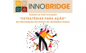 SESSÃO DE PARTICIPAÇÃO «ESTRATÉGIAS PARA AÇÃO» 