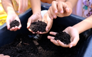 SBA | MUNICÍPIO LANÇOU 1ª EDIÇÃO DO «AMBIENTA-TE» PARA COMEMORAR O DIA MUNDIAL DO AMBIENTE 