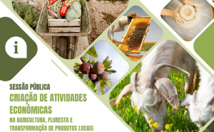 LOULÉ DINAMIZA SESSÃO SOBRE AGRICULTURA, FLORESTA E TRANSFORMAÇÃO DE PRODUTOS LOCAIS ENQUANTO ATIVIDADES ECONÓMICAS