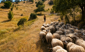 Odiana divulga experiências de economia social no território transfronteiriço 