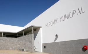 Inauguração de espaço multiusos e da exposição «100 Anos, 100 Sardinhas» marcam 17º aniversário do Mercado Municipal de Portimão