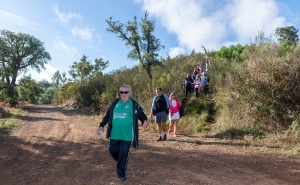 Passeio Pedestre de São Martinho na Cortelha é já no Domingo