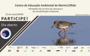 Caminhadas, passeios de barco e oficinas no Dia Aberto que celebra os 47 anos do Parque Natural da Ria Formosa 