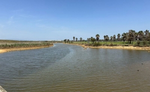 Associação defendem que Lagoa dos Salgados, no Algarve, deve ser reserva natural
