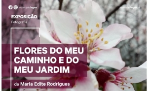 Exposição de Fotografia | Flores do Meu Caminho e do Meu Jardim