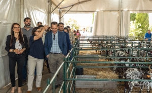 Sabores e saberes na Feira da Cabra, a Terra de Maio