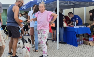 Quarteira promove Cãominhada no Dia Internacional do Animal 