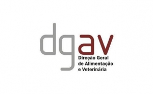 Portugal sem casos de gripe das aves em humanos mas DGAV mantém «vigilância ativa»