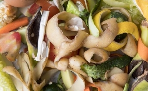 ALGAR E AMAL PROMOVEM REUNIÃO TÉCNICA SOBRE OS DESAFIOS DOS BIORRESÍDUOS NO ALGARVE