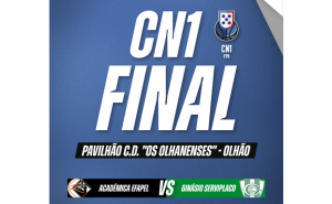 Final do campeonato nacional CN1 masculinos, entre as equipas da ACADÉMICA EFAPEL e do GINÁSIO SERVIPLACO