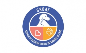 Centro de Recolha Oficial de Animais de Faro celebra o Dia Mundial do Animal com diversas iniciativas