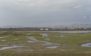 Parque Natural da Ria Formosa: o ex-líbris da biodiversidade algarvia