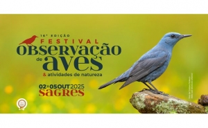 Abrem hoje as inscrições para o maior festival de aves e natureza do país