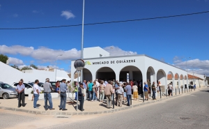 Mercado de Odiáxere reabre portas reabilitado