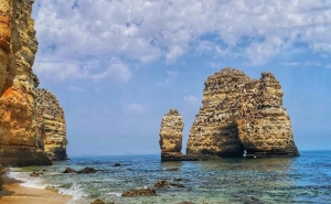 Observatório Marinho do Algarve reúne parceiros para mitigar impacto das algas invasoras