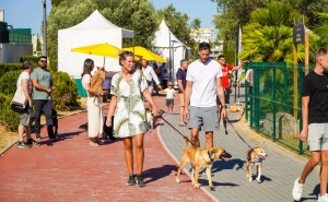 «Patudos» já podem desfrutar do novo Parque Canino de Albufeira