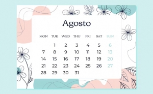 Mês de agosto: dos cães, dos mosquitos e dos bloggers