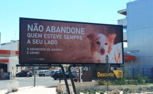 Município de Olhão lança campanha contra abandono de animais de companhia nas férias