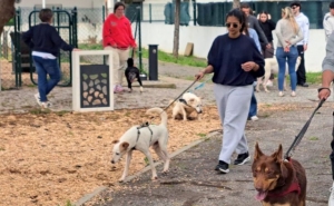UAlg realiza 4.ª Cãominhada em parceria com o canil de Olhão