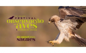 Maior evento nacional dedicado às aves e à Natureza arranca amanhã em Sagres