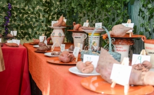 ALDEIA DO CAVALEIRO RECEBE FESTA DA BATATA-DOCE