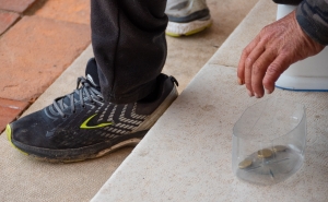 Diocese do Algarve promove Jubileu da Caridade e dos Pobres