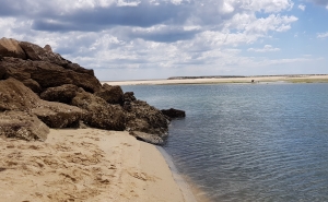 Banhos voltam a estar autorizados nas praias de Fuseta-Ria e Armação de Pera