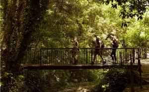 TURISMO DO ALGARVE REGRESSA AO MUNDO ABREU COM FOCO NO MERCADO INTERNO