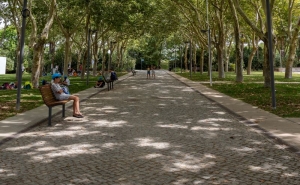 REDE DE REFÚGIOS CLIMÁTICOS NO CONCELHO DE LOULÉ