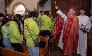 Jornada da Juventude: Bispo do Algarve pediu aos jovens que não sejam «cristãos só de Domingo de Ramos»
